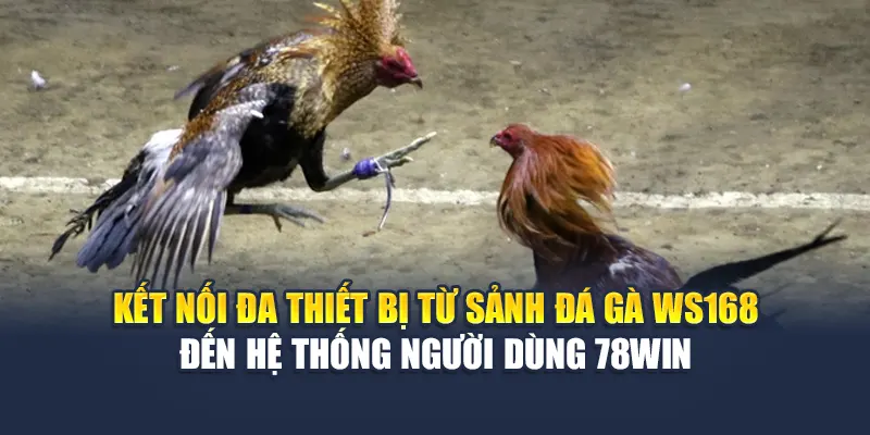 Kết nối đa thiết bị từ sảnh đá gà WS168 đến hệ thống người dùng 78WIN